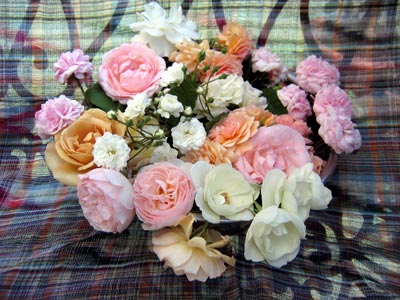 garden_rose